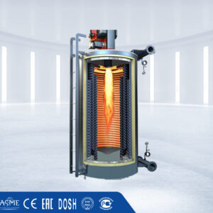 Caldera Vertical de Aceite Térmico Diesel Gas YYQL - EYG Ingeniería